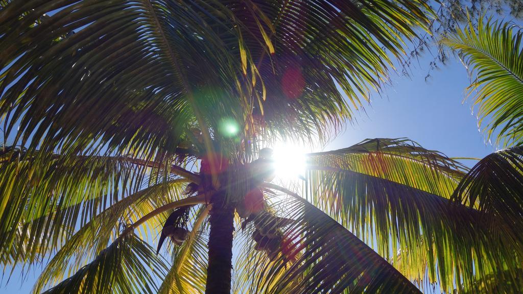 Villa Coconuts à Grand Baie Extérieur photo